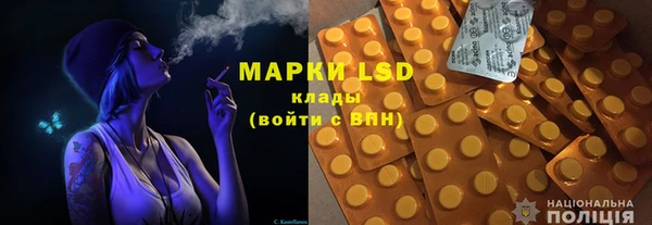 прущие грибы Володарск