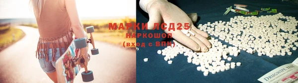 mix Бородино