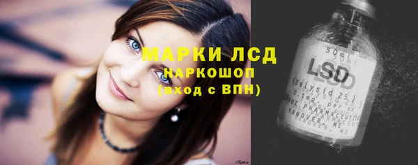 mix Бородино