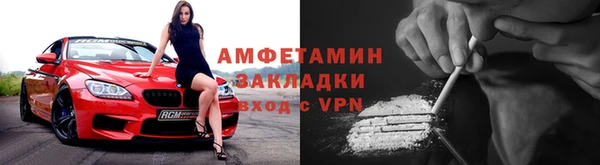 прущие грибы Володарск