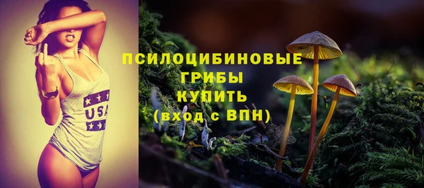 прущие грибы Володарск